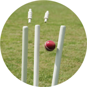 Cricket turf category image