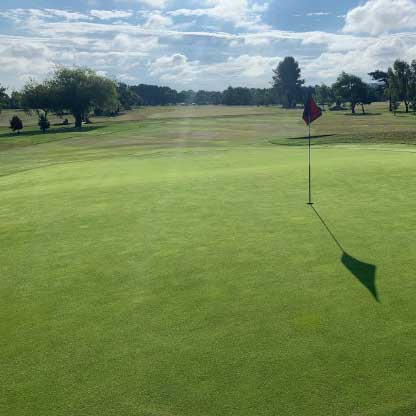 The golf greens at The gorgeous greens at Heworth Golf Club, UK
