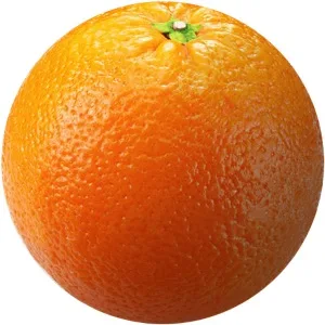 Ripe orange, great horticulture
