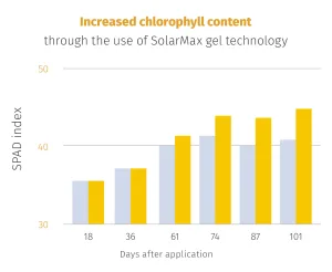 Graph showing the Chlorophyll content when using SolarMax gel technology